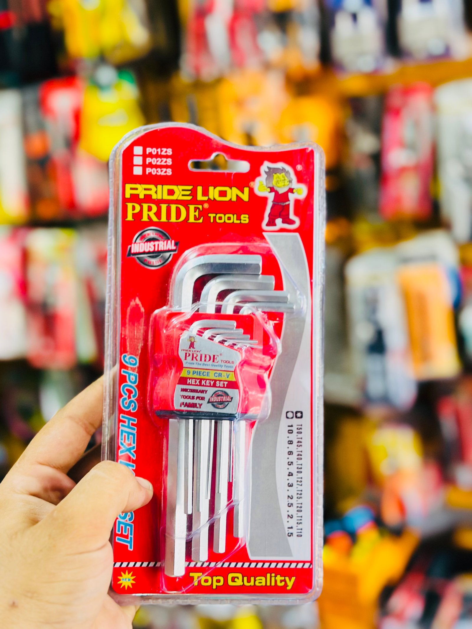 PRIDE LION 9PCS Hex Key Set - Metric L-Shaped Allen Keys 1.5mm-10mm CR-V Steel